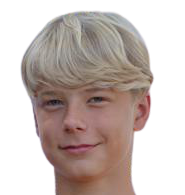 维米斯