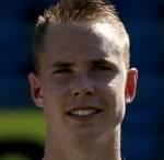 基希讷乌野牛